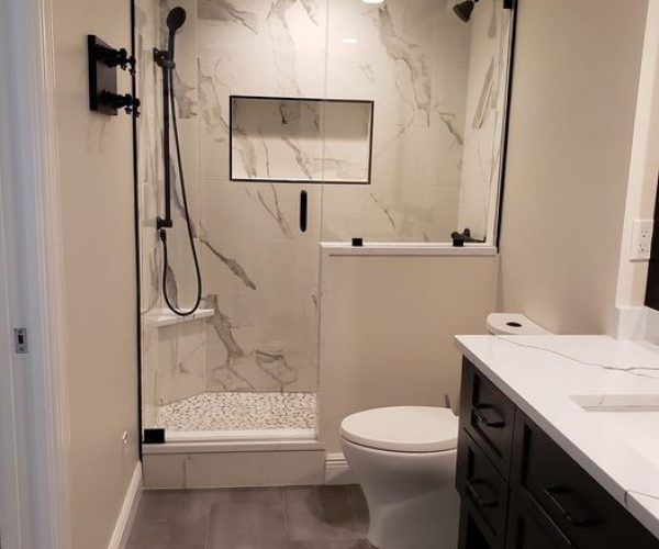 Guest Bath with Espresso Vanity