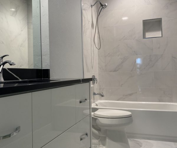 Morgan Guest Bath Pic 3